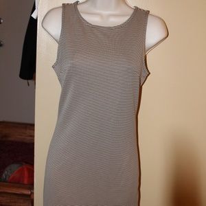 Nude/Black Stripped Work Dress